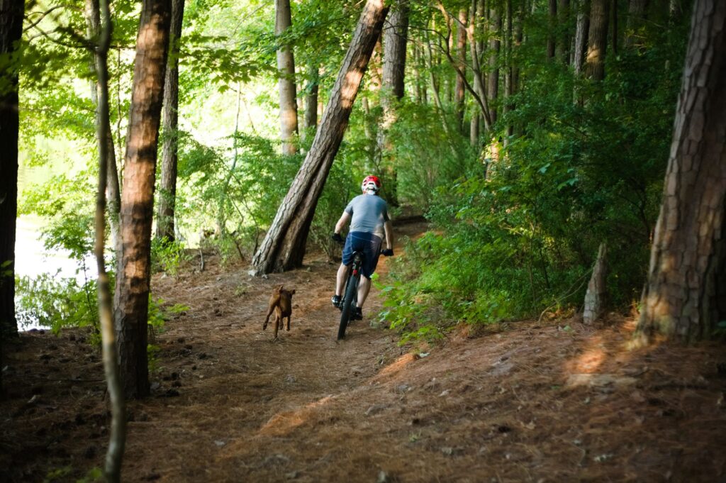 Cape Cod Rail Trail