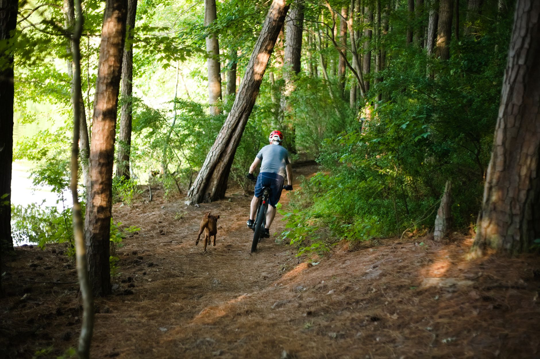 Cape Cod Rail Trail