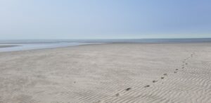 Crosby Landing