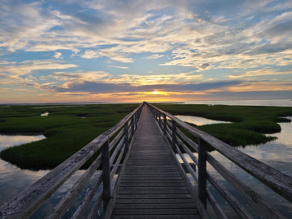 Gray’s Beach
