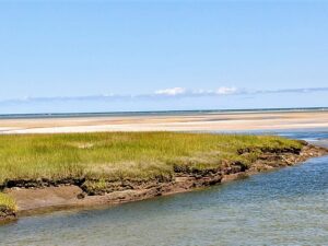 Gray's Beach