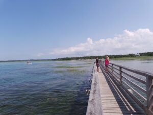 Gray's Beach