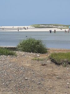 Gray's Beach