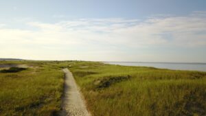 Harding's Beach