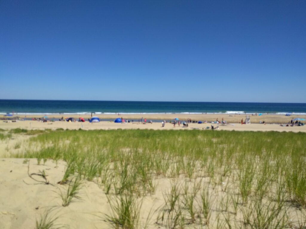 Head of the Meadow Beach