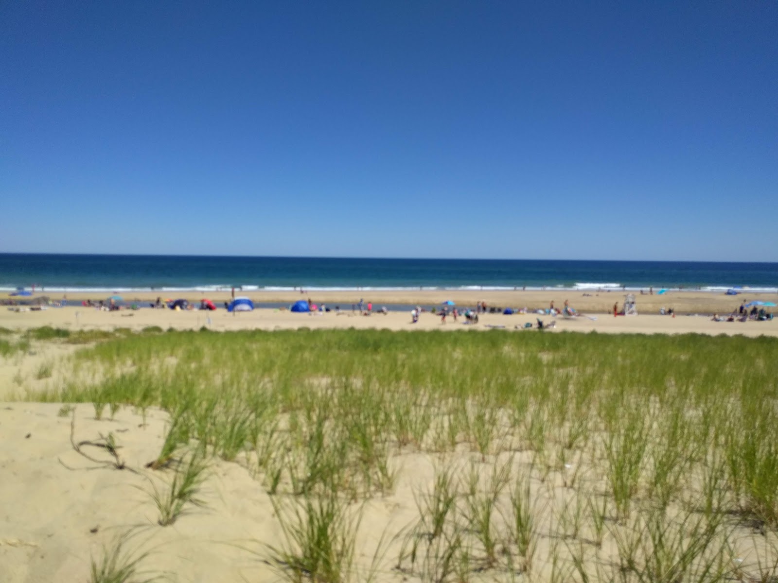 Head of the Meadow Beach