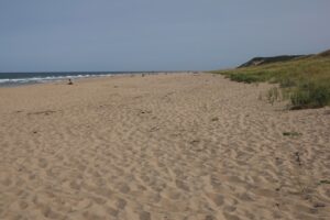 Head of the Meadow Beach