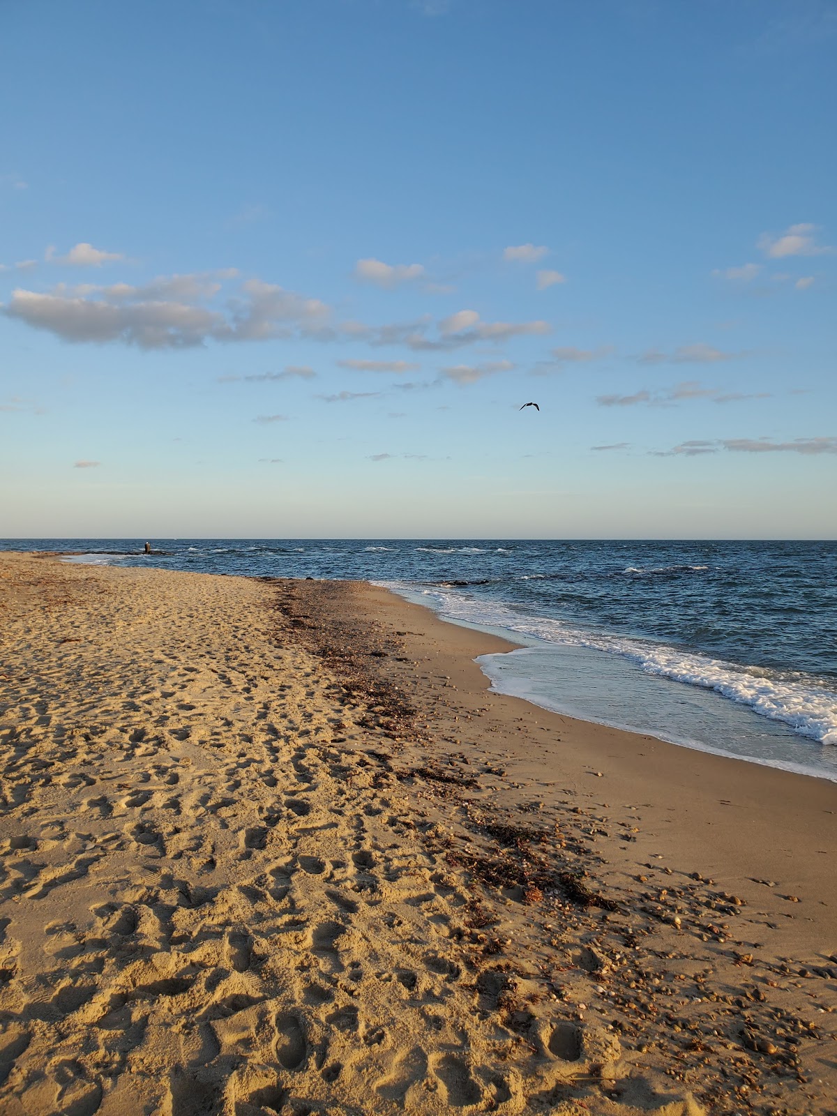 Menauhant Beach