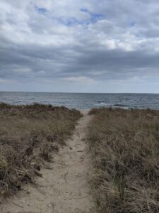 Menauhant Beach