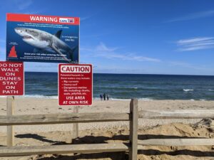 Newcomb Hollow Beach