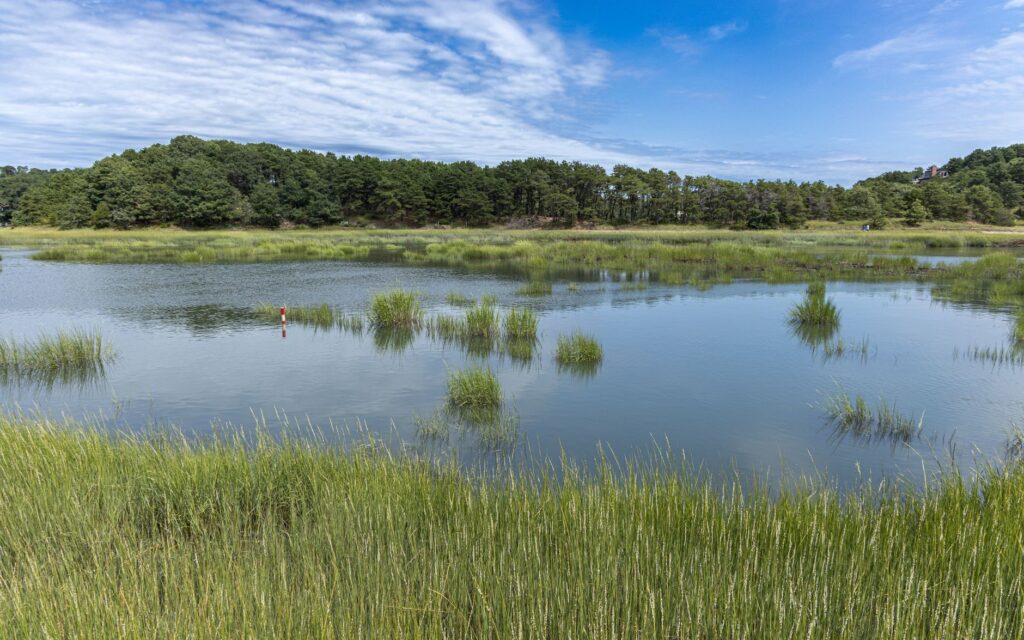Nickerson State Park