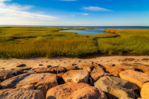 Paine's Creek Beach