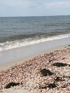 Red River Beach
