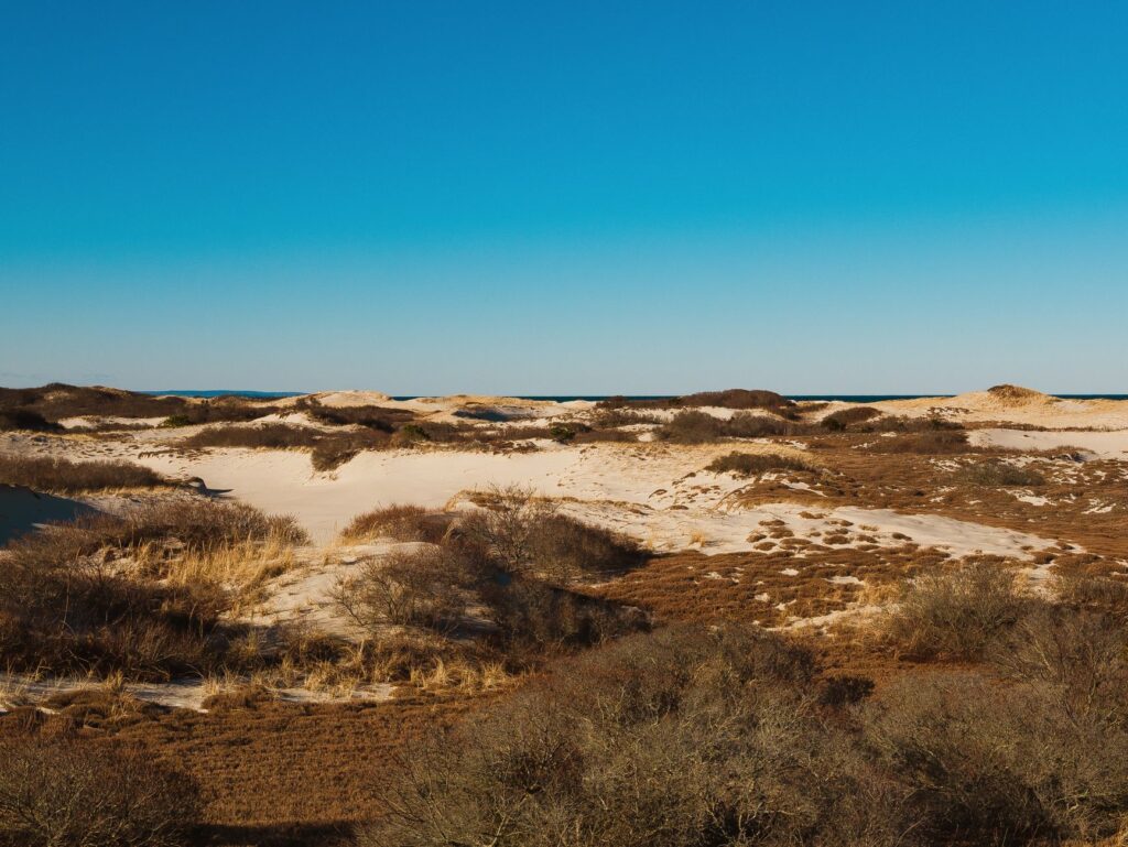 Sandy Neck Beach