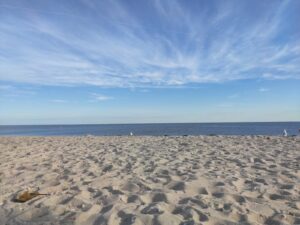 Seagull Beach