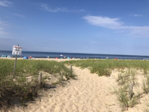Seagull Beach