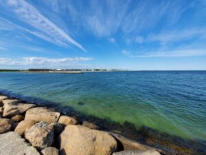 Seagull Beach