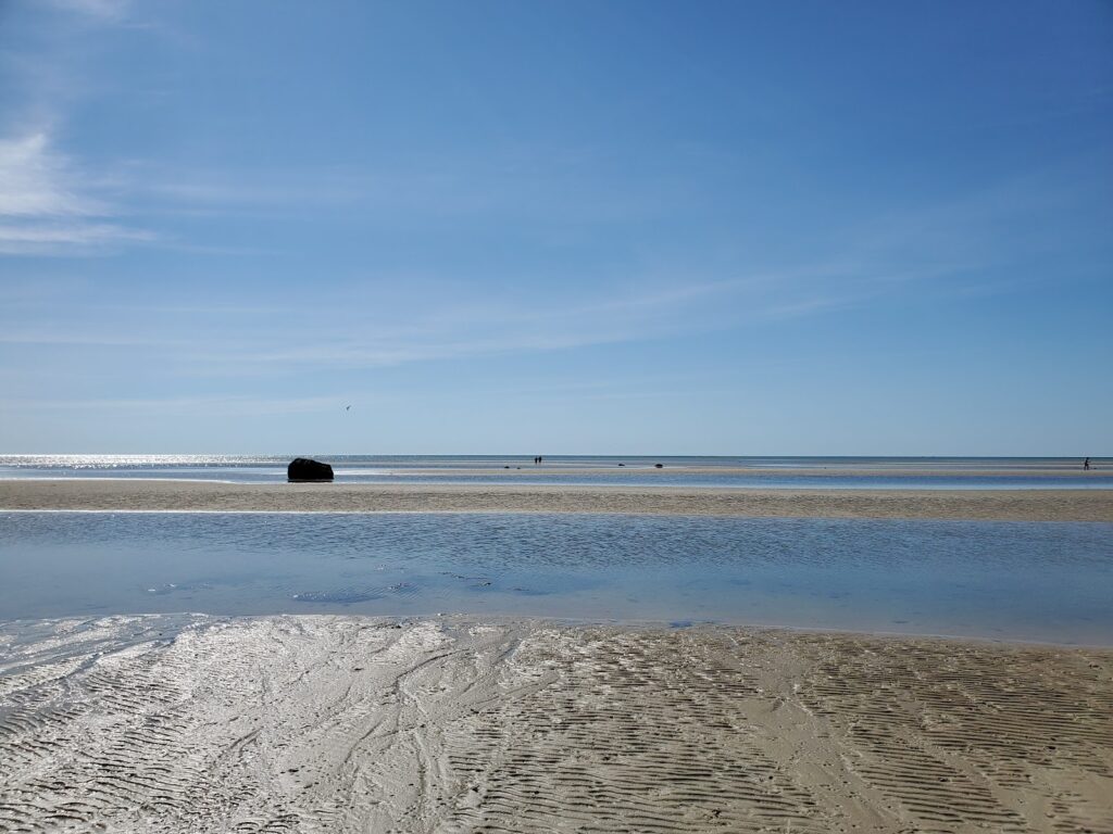 Skaket Beach