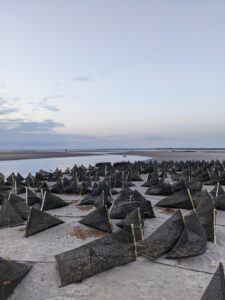 Skaket Beach