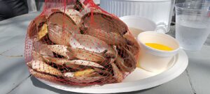 The Raw Bar Mashpee