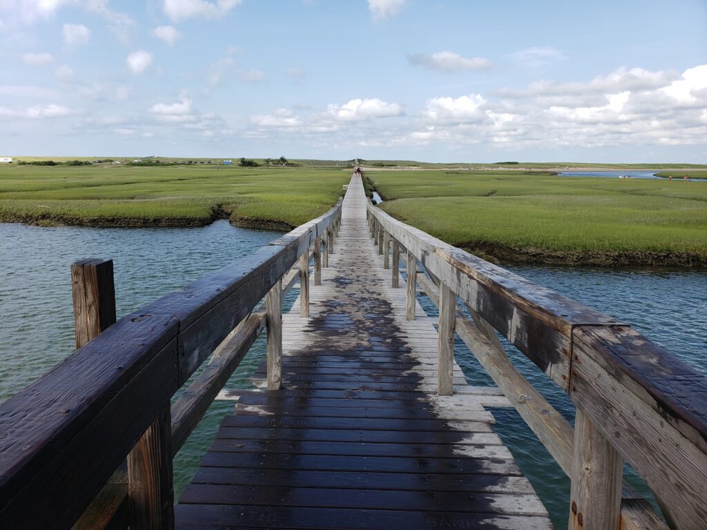 Town Neck Beach