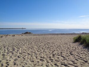 Town Neck Beach