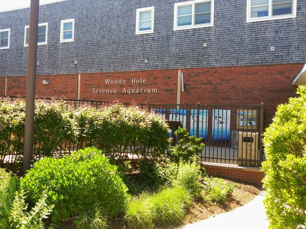 Woods Hole Science Aquarium
