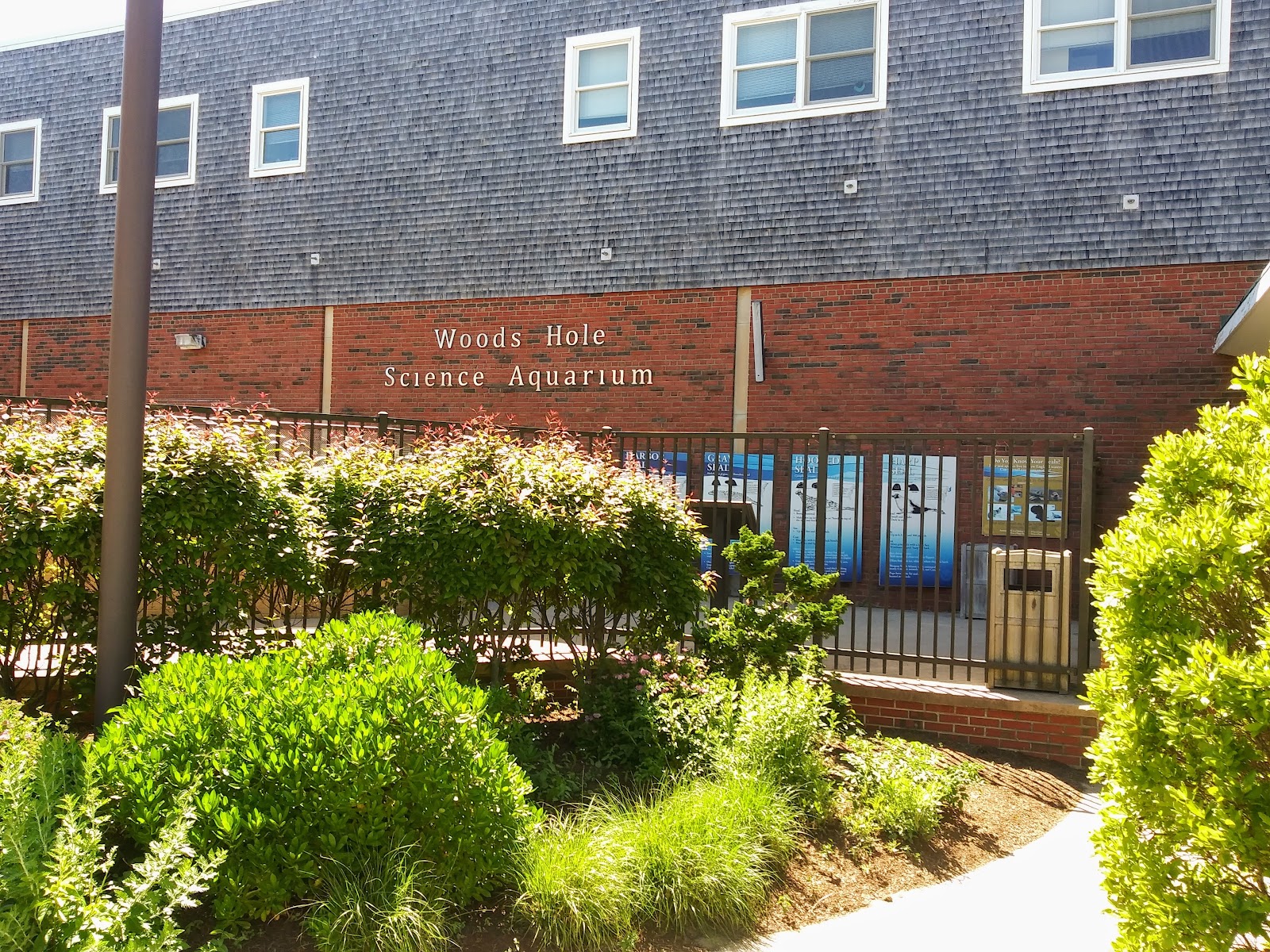 Woods Hole Science Aquarium