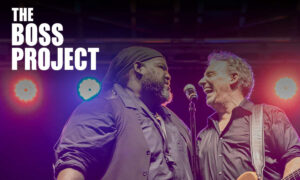 The BOSS Project