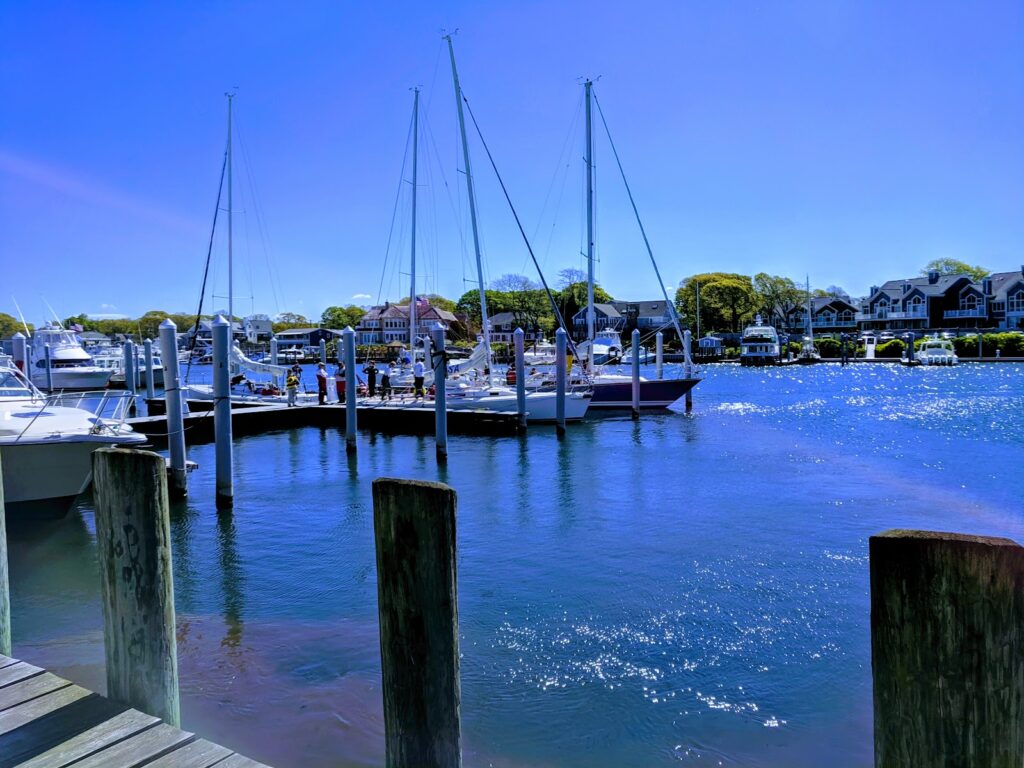 Falmouth Farmers Market