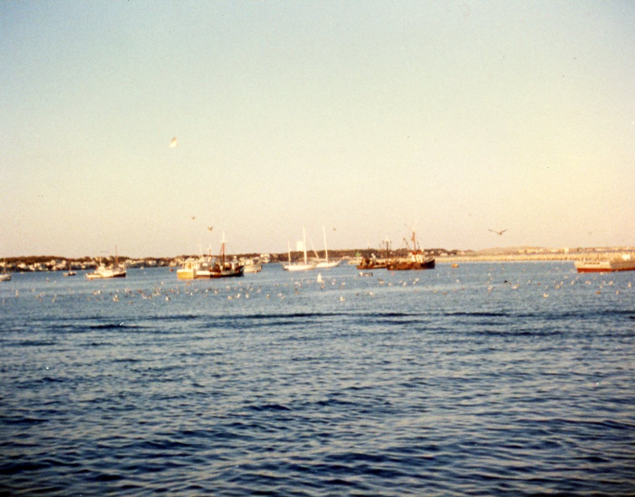 Provincetown Harbor, Provincetown